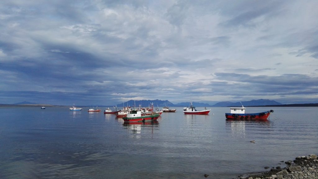 Halászhajók Puerto Natalesnél