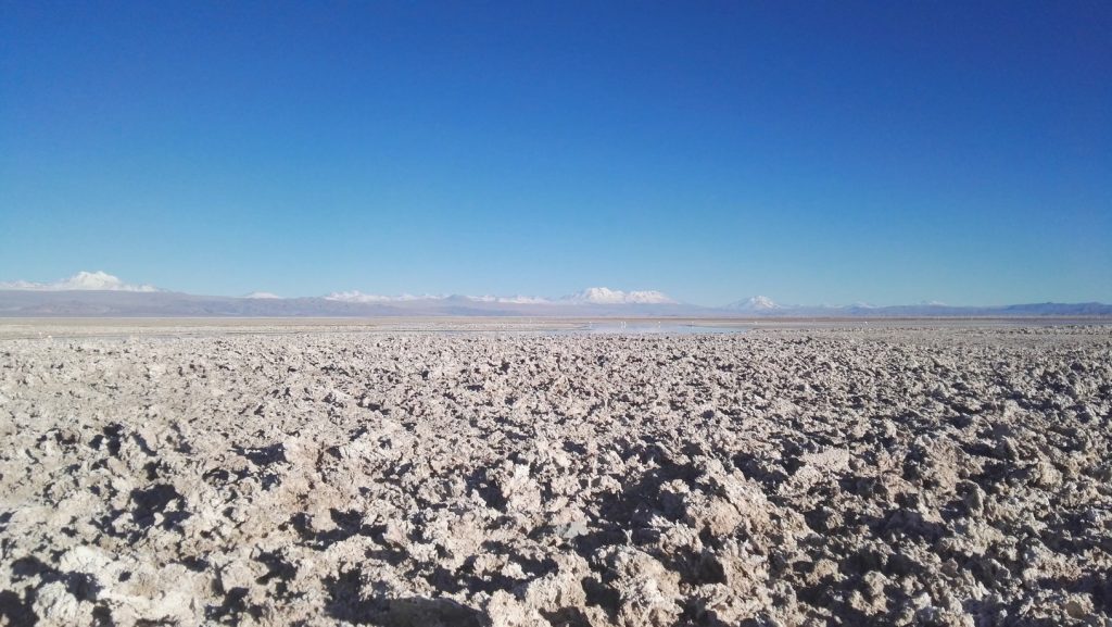 Salar de Atacama sómező