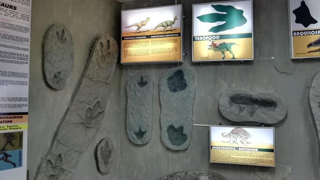 Dinoszauruszlábnyomok a Parque Cretácico múzeumban
