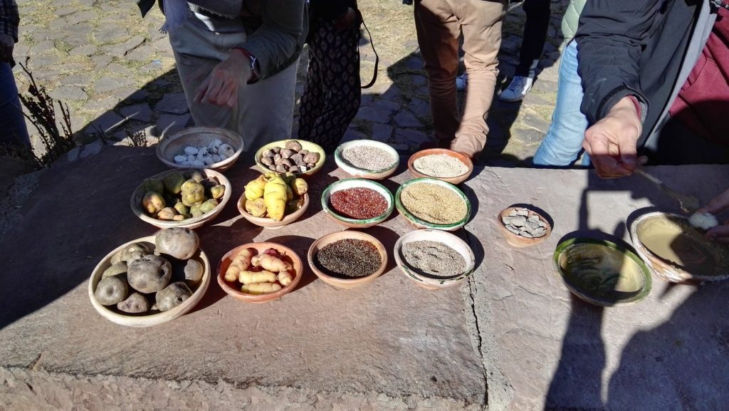 Különféle burgonyák és kukoricák egy perui farmon