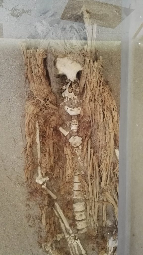 Chinchorro múmia