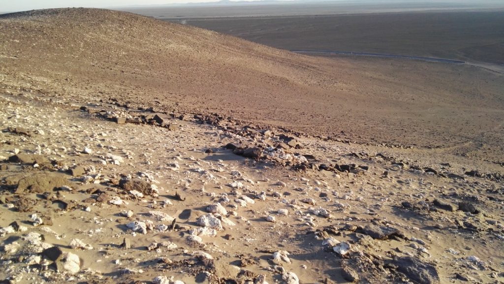 Gigante de Atacama közvetlen közelről