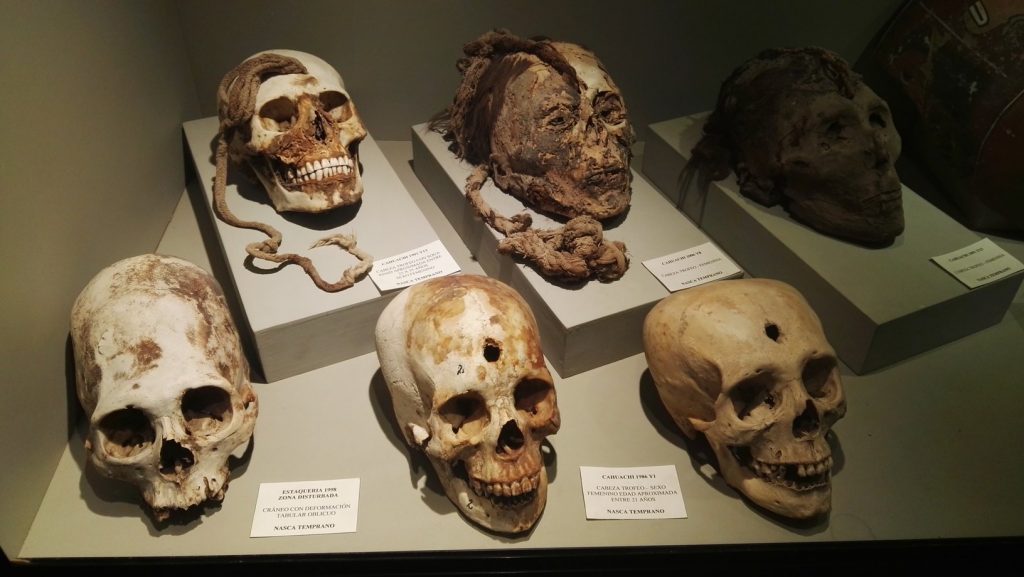 Nazca emberáldozatok átfúrt koponyái