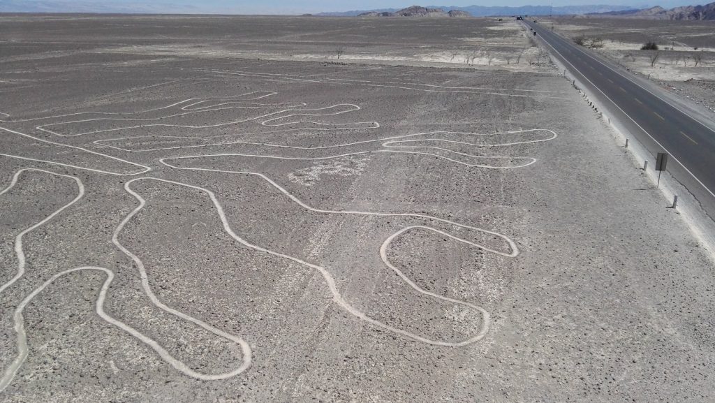 A fa Nazca-vonal