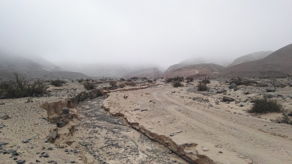 Reggeli köd Nazca mellett a sivatagban