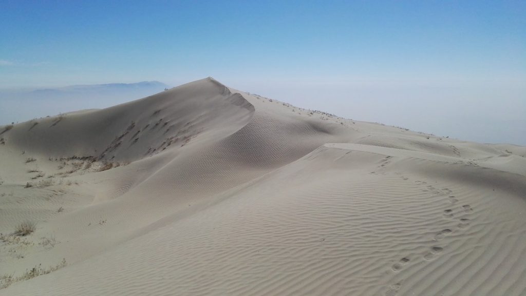 A Cerro Blanco homokdűnéi