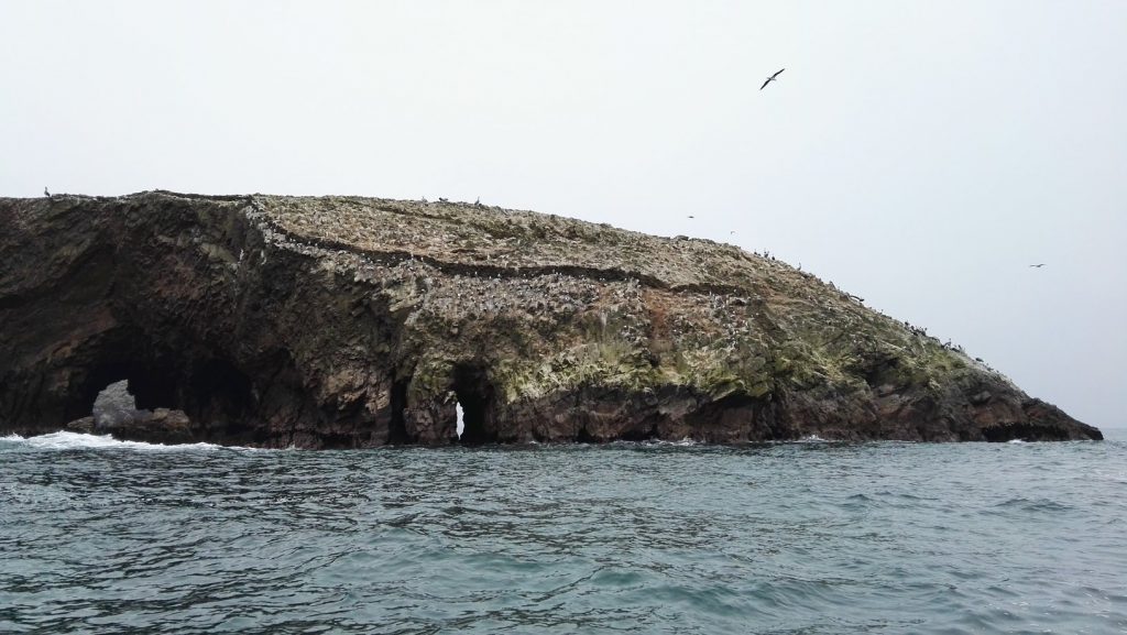 Hatalmas madárkolónia a Ballestas-szigeteken