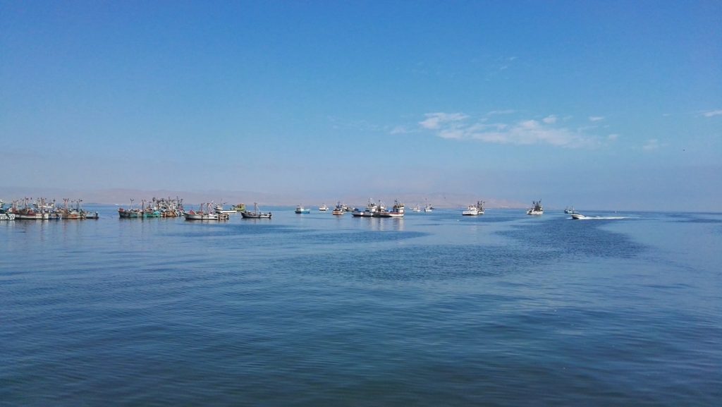 Halászhajók Paracas kikötőjében